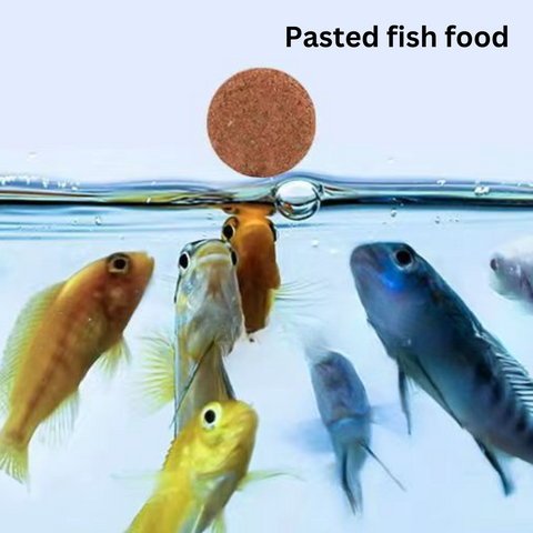 Negative pressure fish tank: fish elevator