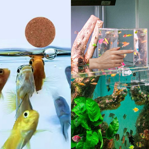 Negative pressure fish tank: fish elevator